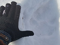 Highslide JS